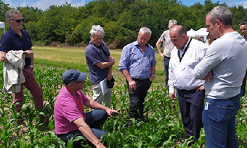 Plateforme agricole